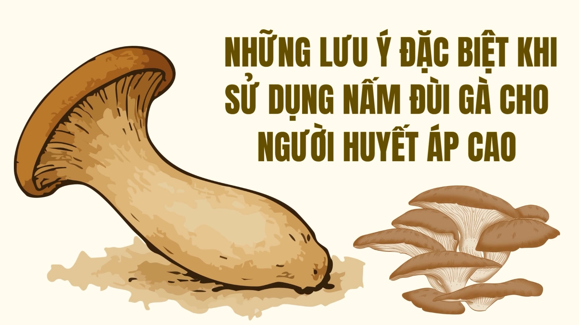 Special notes when using chicken thigh mushrooms for people with high blood pressure