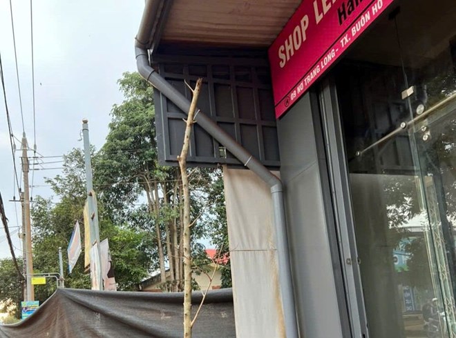 Chủ đầu tư lên tiếng vụ trồng cây xanh sát mặt tiền nhà dân ở Đắk Lắk