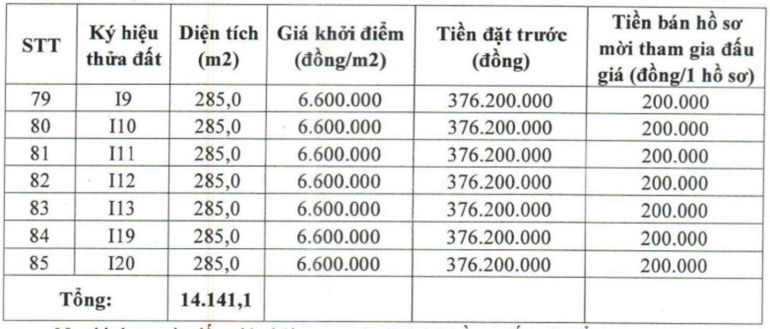 Thong tin phien dau gia 85 lo dat o tai xa Gia Hung, tinh Ninh Binh. Anh: Cong ty Hop danh Dau gia tai san Tuan Linh