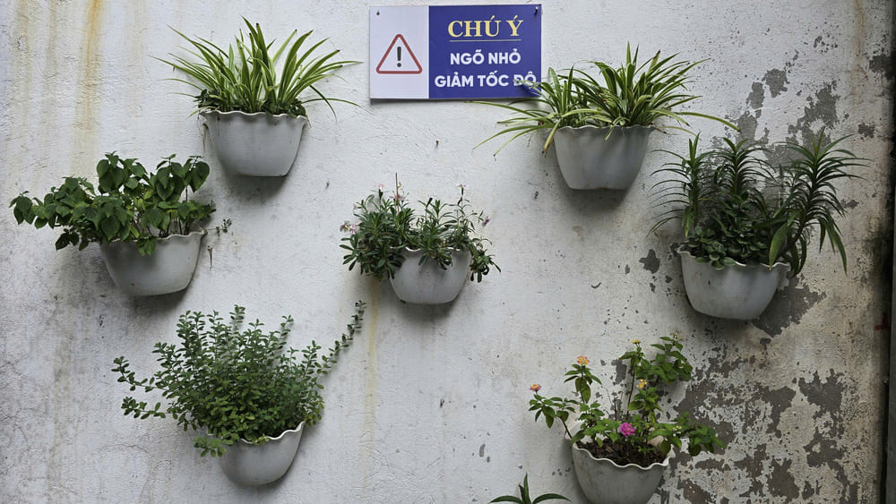 Decorar con plantas suspendidas en la pared ayudara a que la casa sea menos monotona mostrando la personalidad del propietario. Foto: Tuan Dat