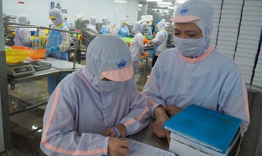 Chị Phương Anh trong giờ làm việc tại Công ty Cổ phần xuất nhập khẩu Thuỷ sản Năm Căn, Cà Mau. Ảnh: Nhân vật cung cấp