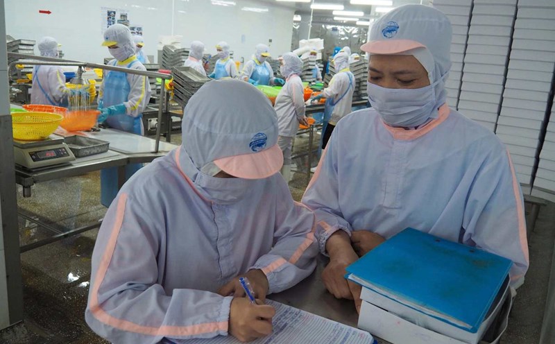 Ms. Phuong Anh during working hours at Nam Can Seafood Import-Export Joint Stock Company, Ca Mau. Photo: Character provided