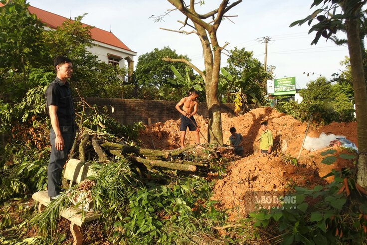 Ông Đạt đang thuê người di chuyển cây cối trên mảnh đất “hai mặt tiền” rộng 262m². Ảnh: Tô Công.