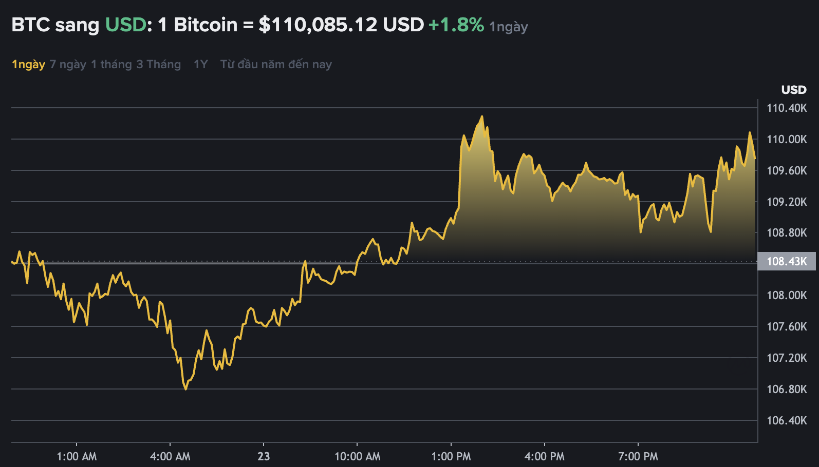 Du lieu tren Binance - san giao dich tien ma hoa lon nhat the gioi cho thay gia Bitcoin tang tro lai, giao dich quanh nguong 110.000 USD. Nguon: Binance.com