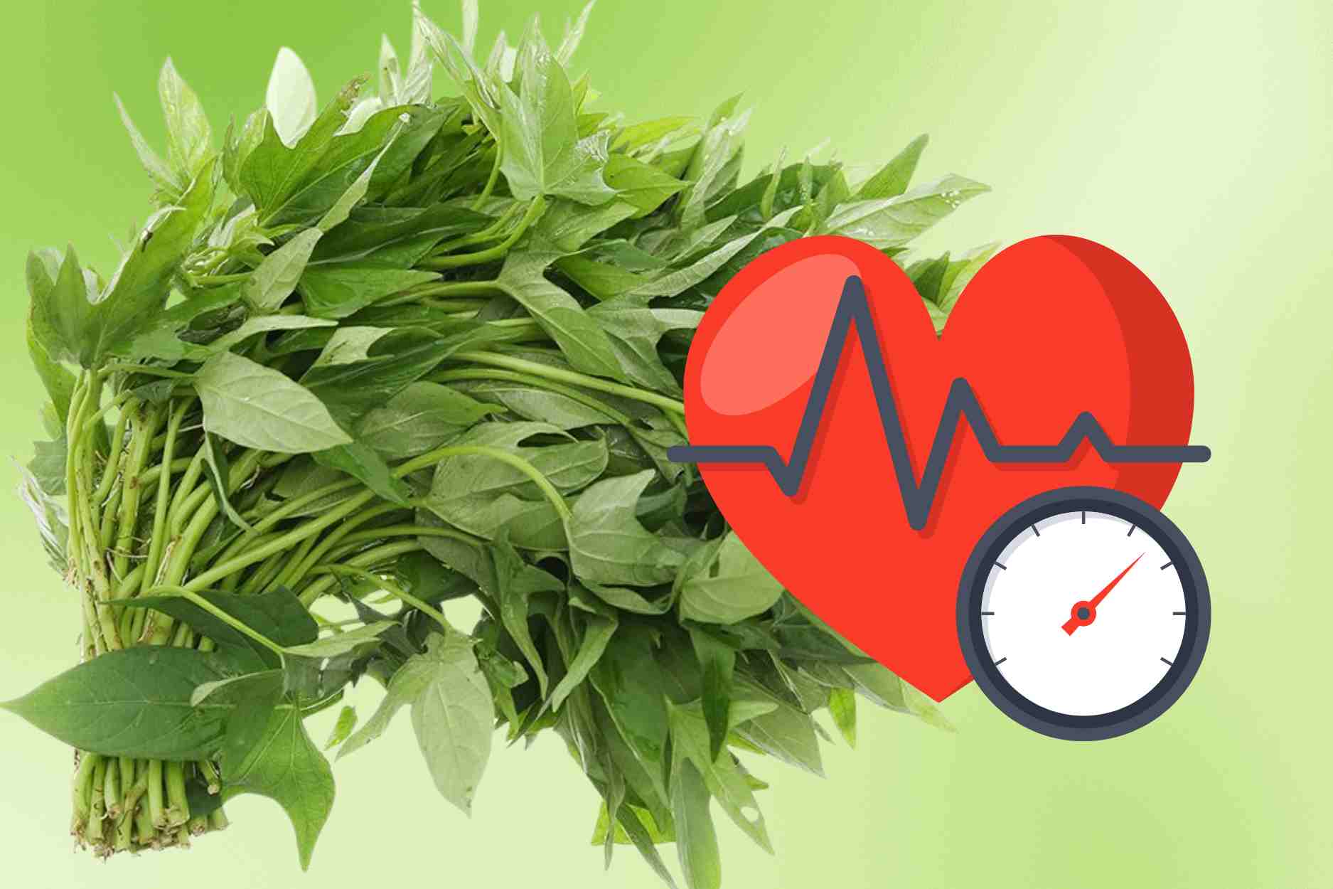 Tips for eating sweet potato leaves safely and good for people with high blood pressure
