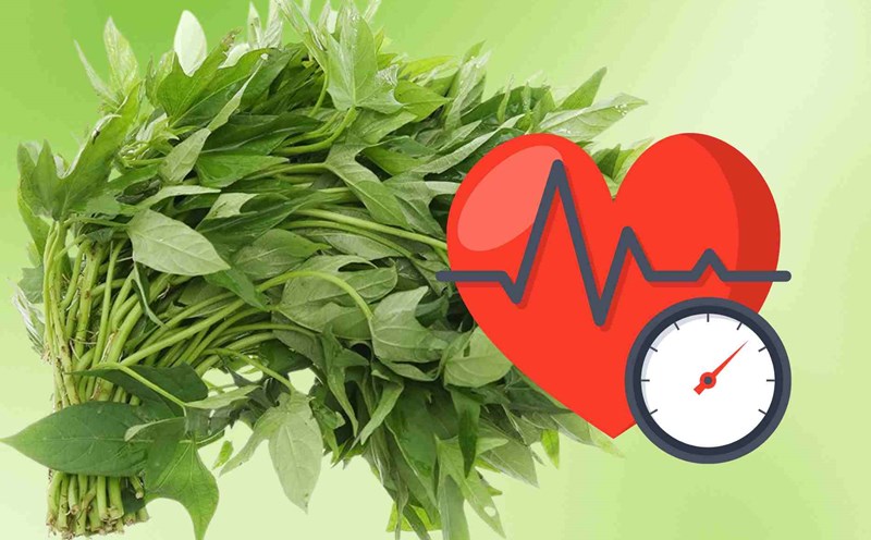 Tips for eating sweet potato leaves safely and good for people with high blood pressure