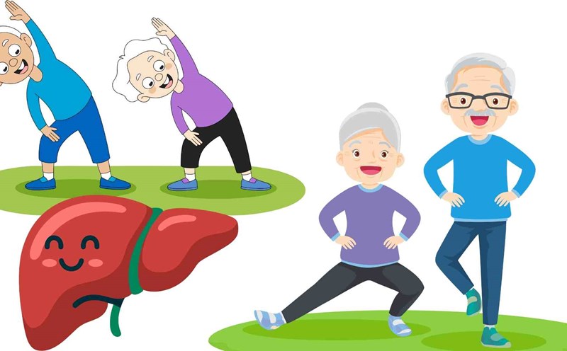 Exercising in the evening is good for liver function. Graphics: Ha May
