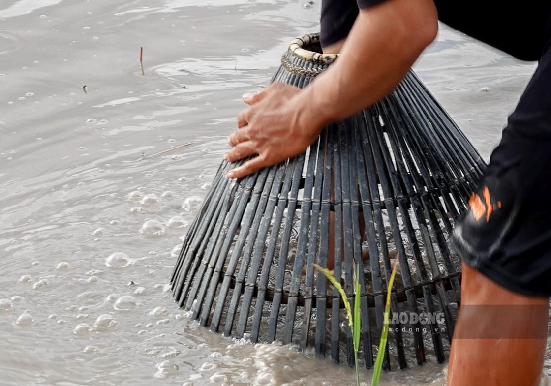 Khi thay ca chui xuong bun non nguoi dan nhanh tay up nom xuong bat ca. Anh: Phuong Anh