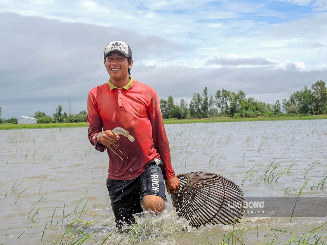 Mua nuoc noi, dong ruong menh mong tro thanh “ngu truong” cua nguoi dan mien Tay. Anh: Phuong Anh