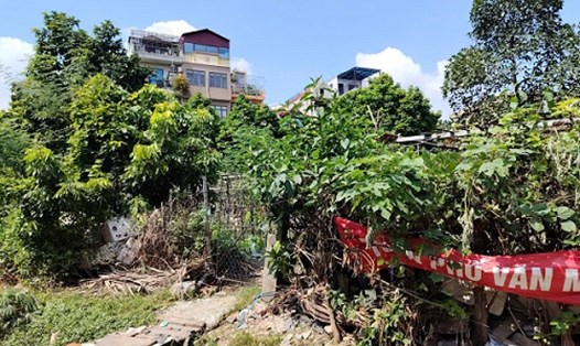 Nhiều người dân quan tâm thủ tục chuỷ từ đất nông nghiệp sang đất ở. Ảnh: Xuyên Đông