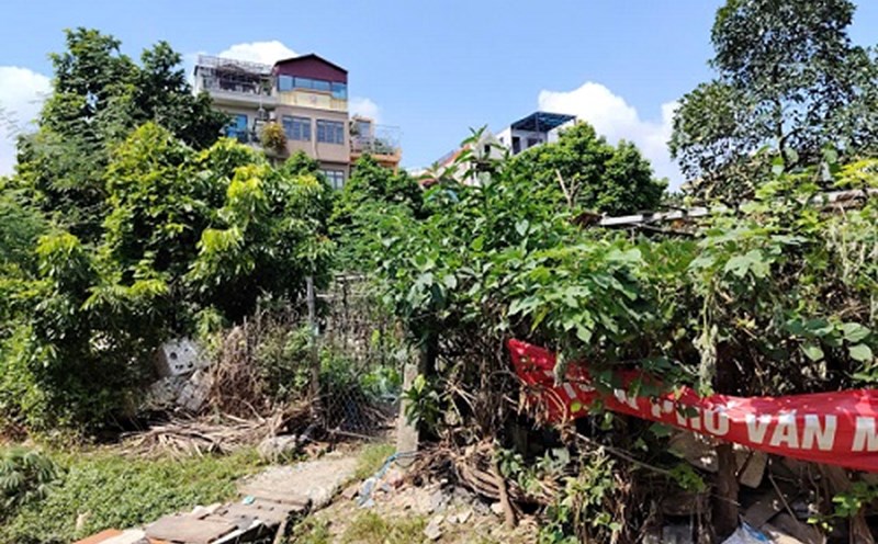 Many people are interested in the process of converting agricultural land to residential land. Photo: Xuyen Dong