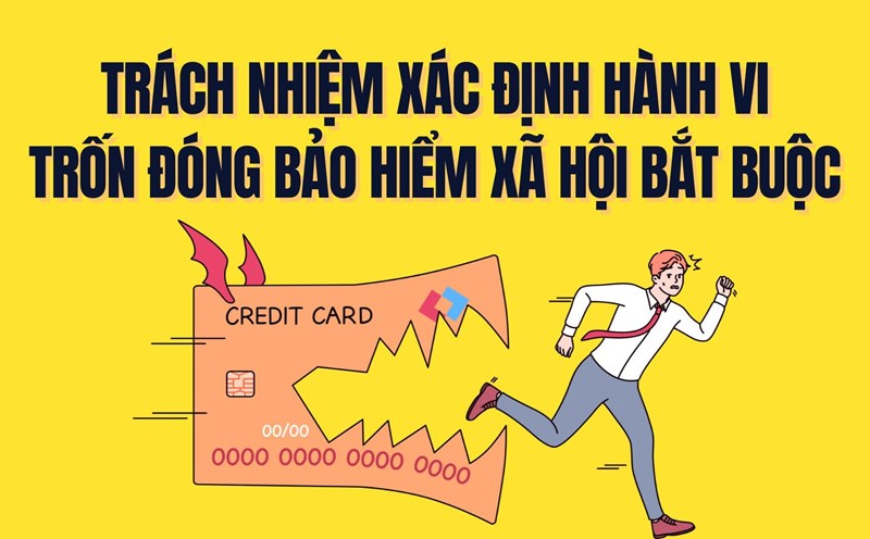 Responsibility for determining the act of evading compulsory social insurance (SI). Graphics: Tra My
