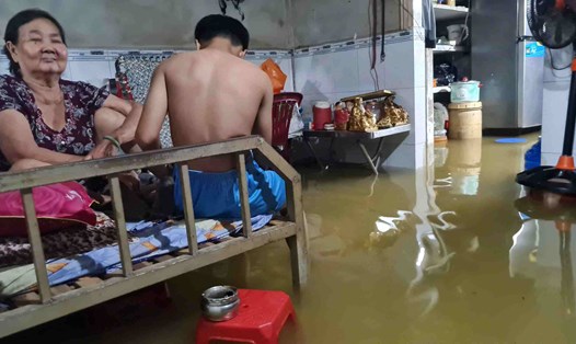 Mưa, triều cường dâng cao khiến cuộc sống của người dân ở nơi ngập sâu thuộc tỉnh Cà Mau bị đảo lộn. Ảnh: Nhật Hồ