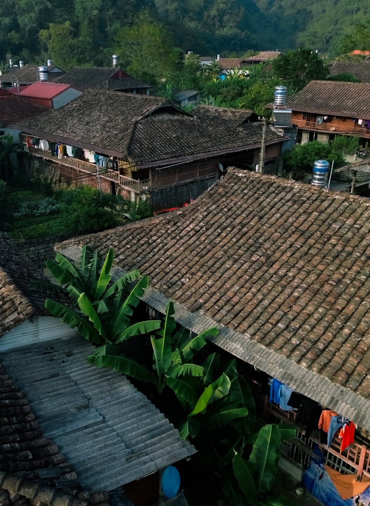 Nha san cua nguoi Tay o Quynh Son duoc dung bang go quy, lop mai ngoi am duong. Dac biet phan lon nha san deu huong ve phia nam vi quan niem cua dan dia phuong day la huong tot.