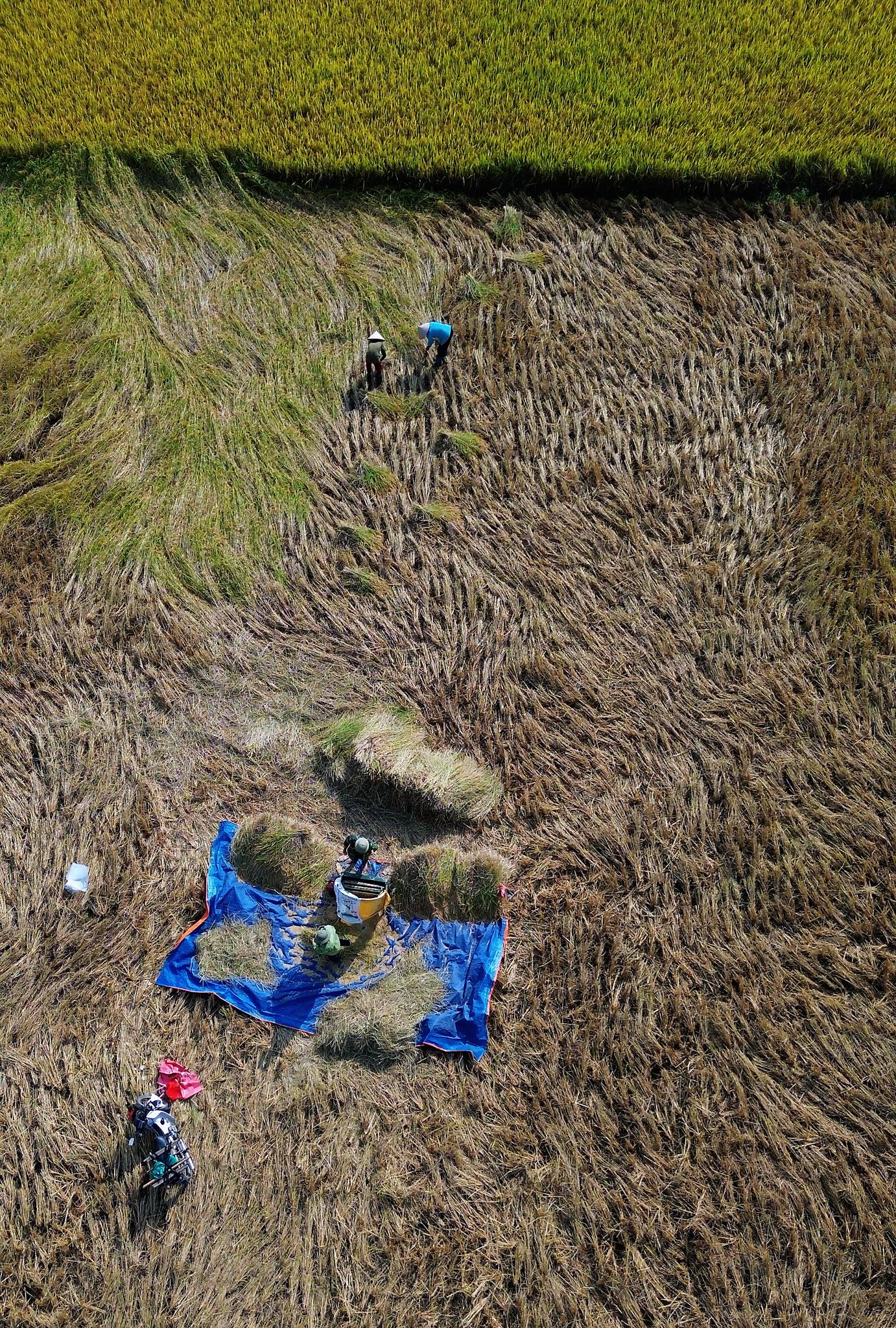 Nhung ngay mua thu thanh binh nay, ban ngay toi lang Quynh Son du khach di bo, dap xe quanh lang dao choi, ngam lua chin trai tham khap noi hoac thu suc lam nong dan tham gia gat lua. Buoi toi den to chuc lua trai, ngam sao, lang nghe nhung lan dieu hat Then truyen thong.