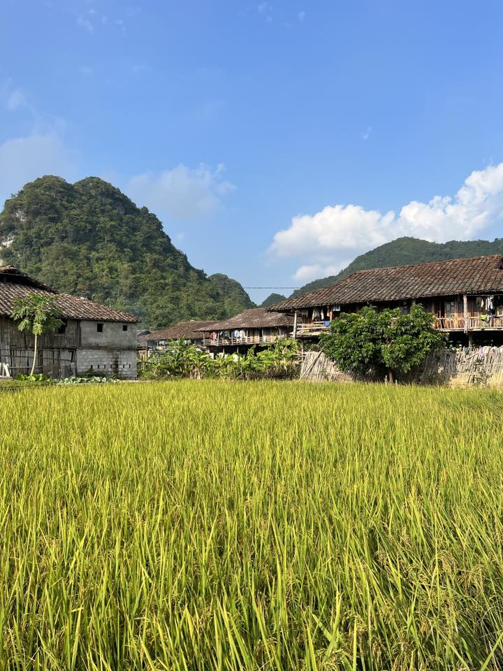 Nhung ngoi nha san nam san sat, ngan nap nep minh duoi chan nui, huong mat ra canh dong. Tu nam 2010, lang Quynh Son duoc chuyen doi thanh lang du lich cong dong, nguoi dan khong chi tap trung lam cong viec dong ang nhu truoc day ma co y tuc trong giu gin canh quan, ve sinh moi truong va bat dau cac dich vu nhu homestay, cung cap cho an ngu cho du khach.