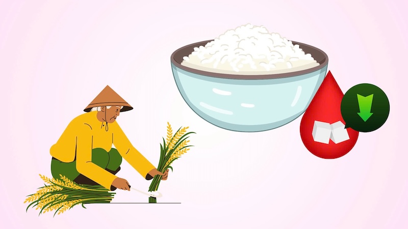 4 types of rice are good for people with diabetes.