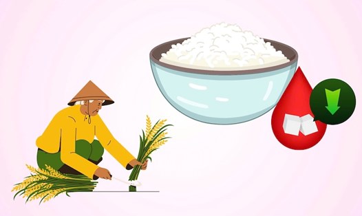 4 loại gạo tốt cho người tiểu đường.