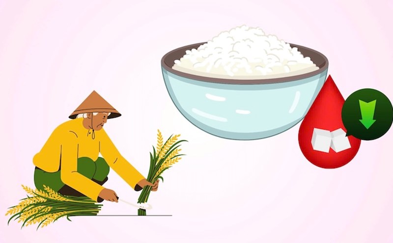 4 types of rice are good for people with diabetes.