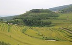 Bustling Mien Doi Luan Thien Festival 2025