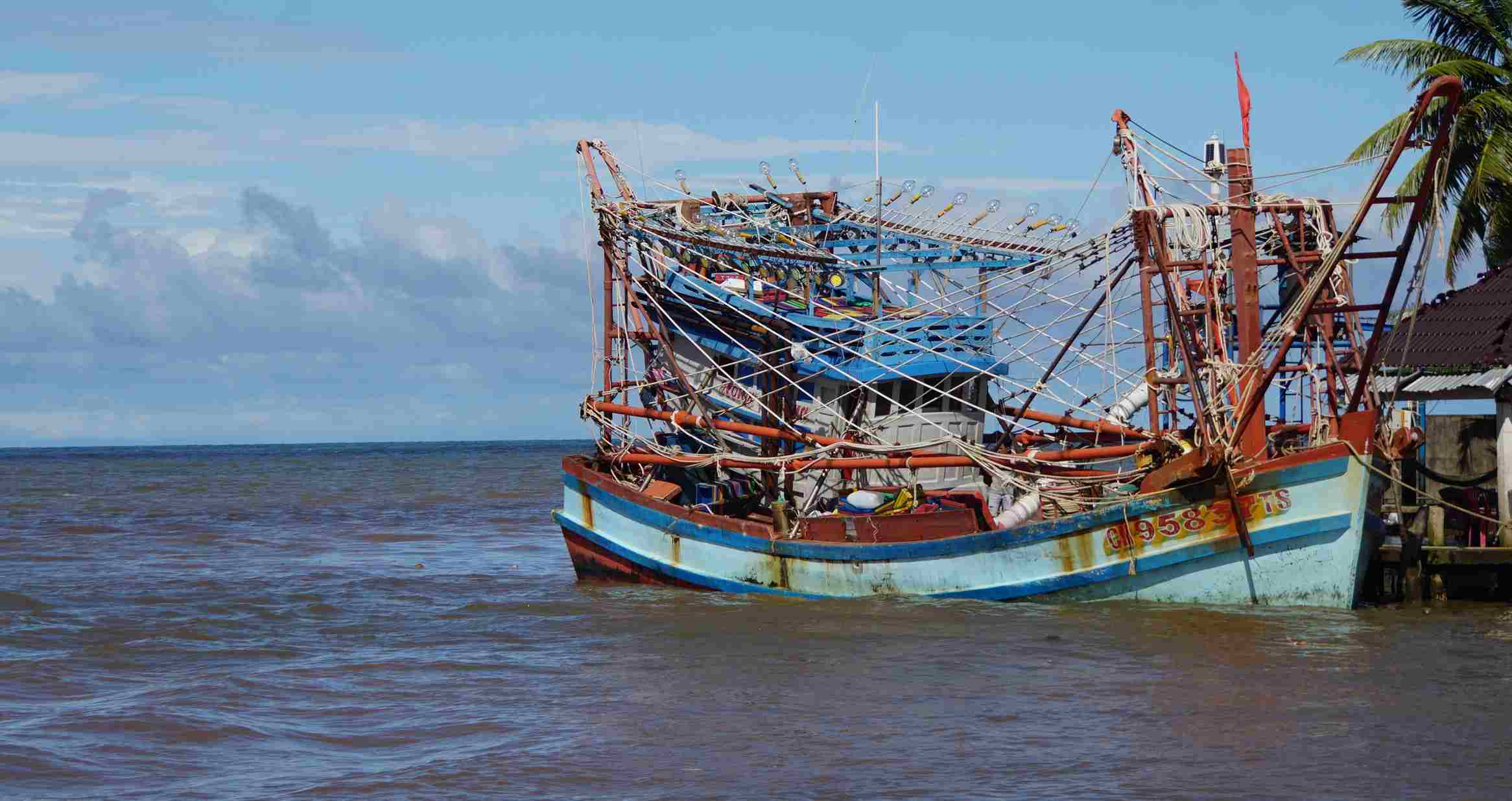 Ca Mau kiem soat chat tau ca trong thang cao diem chong khai thac IUU. Anh: Nhat Ho