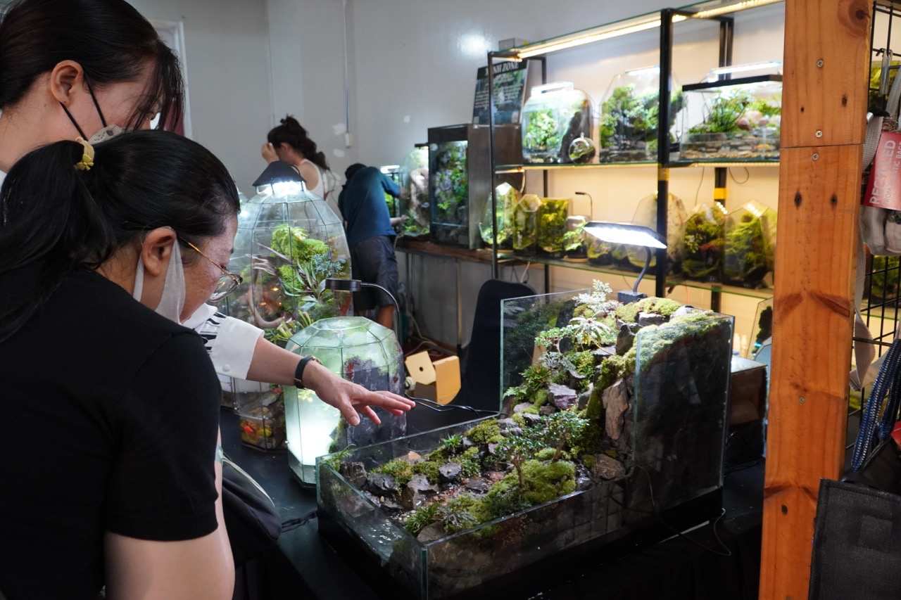 Khach thuong lam gian hang Terrarium. Anh: Mai Anh.