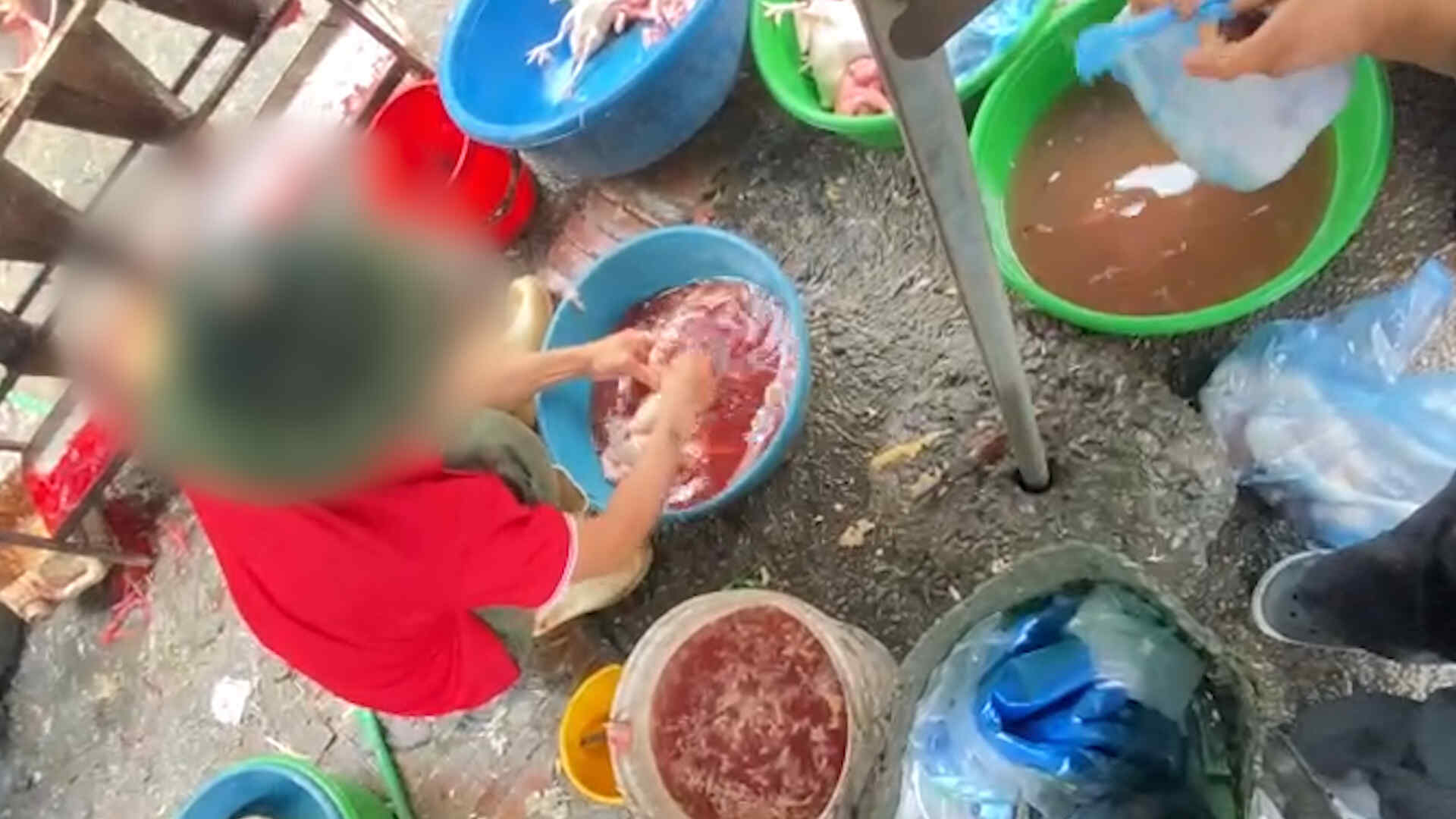 Small slaughterhouses surround Hanoi market