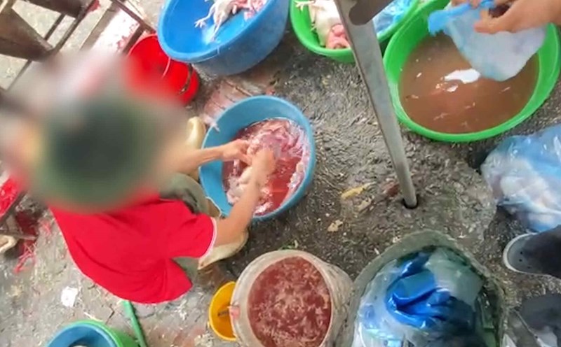 Small slaughterhouses surround Hanoi market
