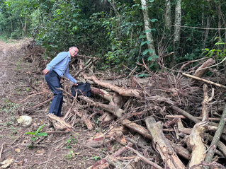 Scene of illegal deforestation and logging in Tan Lap ward, Dak Lak province. Photo: Bao Trung
