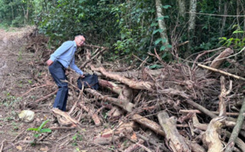 Scene of illegal deforestation and logging in Tan Lap ward, Dak Lak province. Photo: Bao Trung
