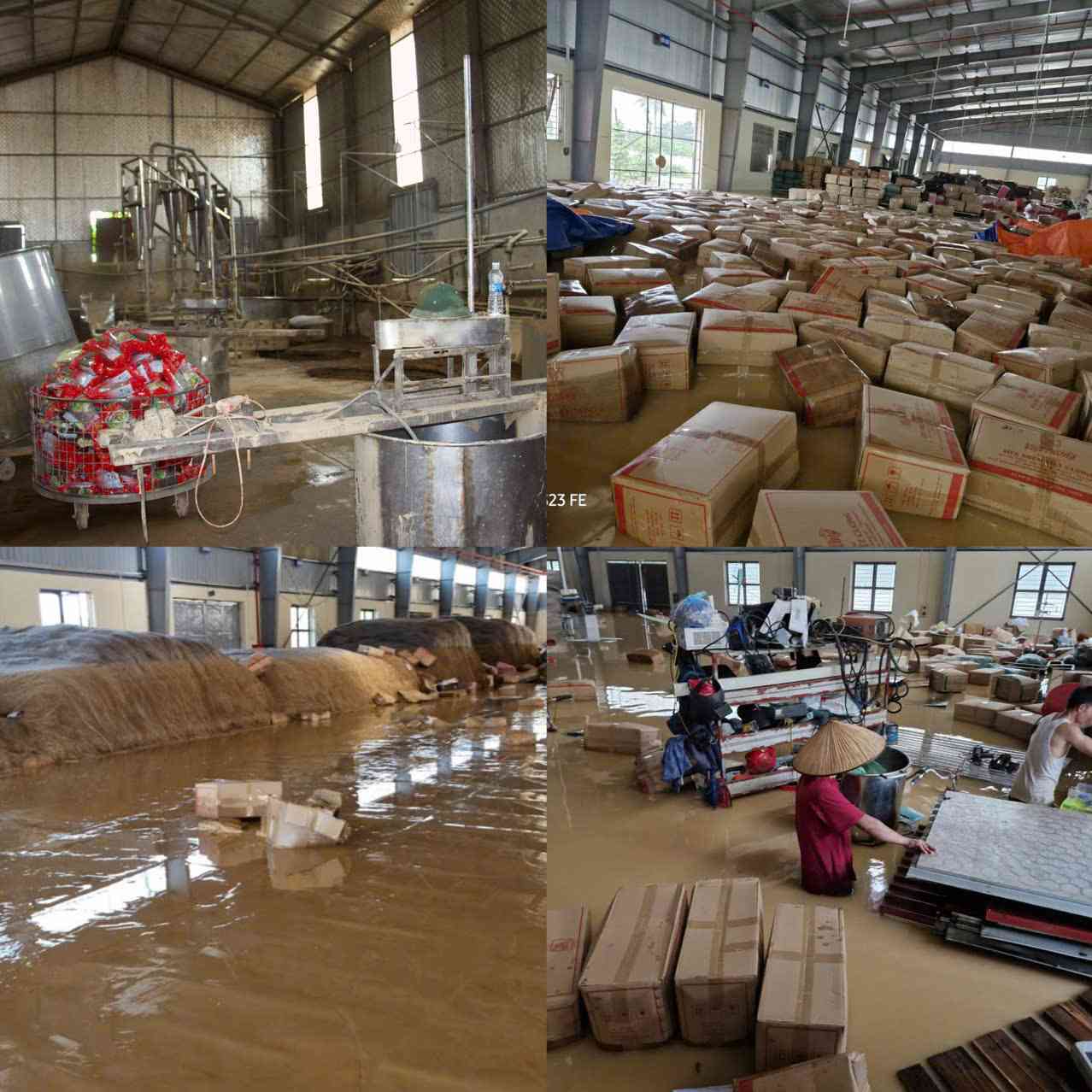 Xuong mien cua Hop tac xa Viet Cuong ngap hoan toan trong nuoc lu 