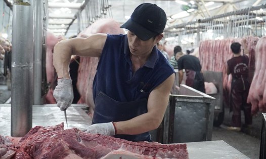 TPHCM tiến hành thử nghiệm mô hình thí điểm giao dịch thịt heo qua Sàn giao dịch từ ngày 1.12.2025. Ảnh: Ngọc Lê