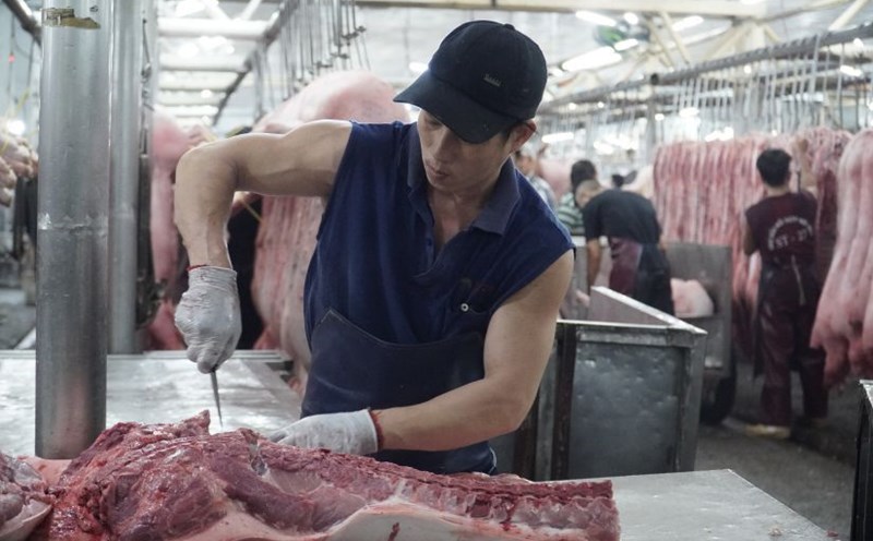 Ho Chi Minh City conducts a trial of the pilot model of pork trading through the Tradingplace from December 1, 2025. Photo: Ngoc Le