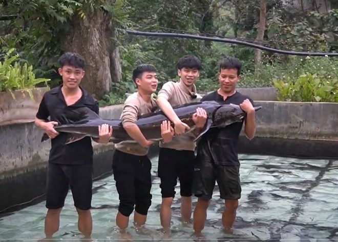 Siberi sturgeon is connected and consumed at Vietnam Agricultural Products Week 2025. Photo: DMS