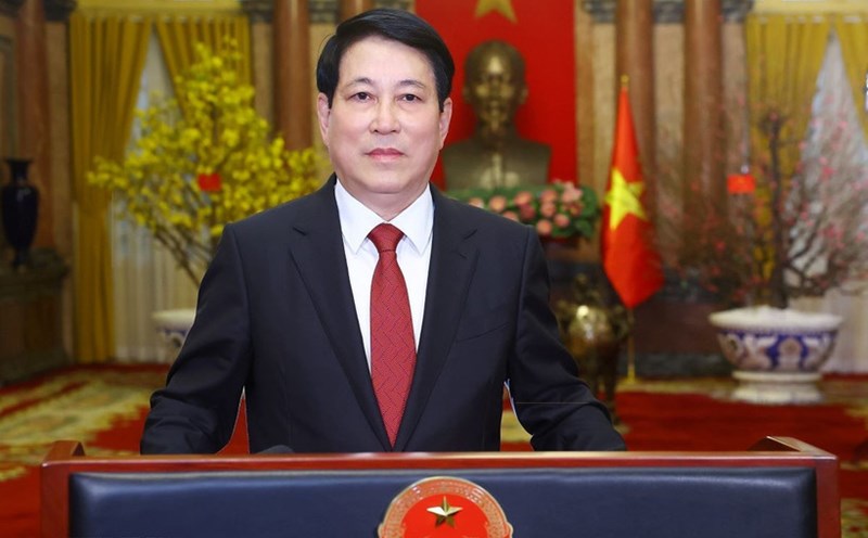 Politburo member and President Luong Cuong. Photo: VNA