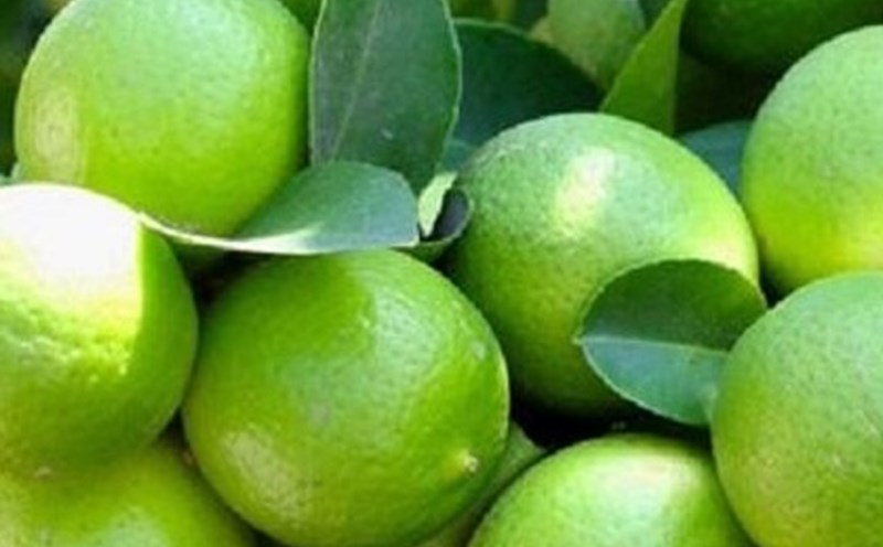 Detoxifying the kidneys with lemon juice should be understood correctly. Photo: Kieu Vu