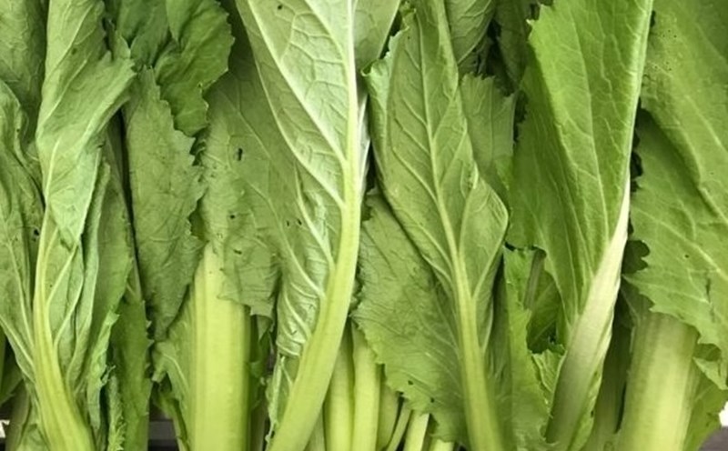 mustard greens are said to be good for high liver enzymes when processed properly. Photo: Kieu Vu