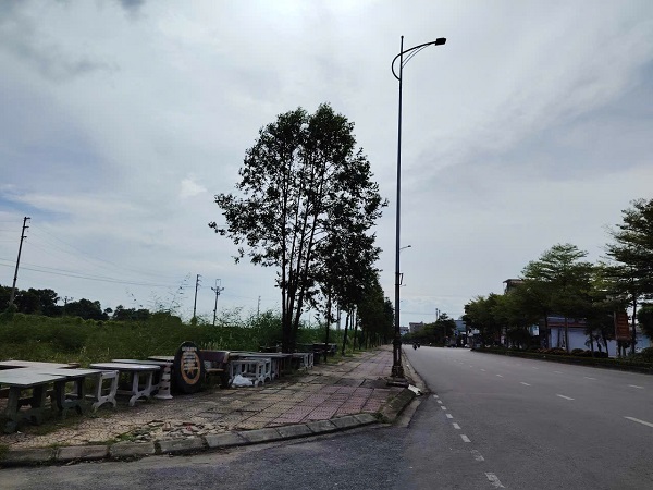 宅地や農地の回復に関する規制には多くの人が関心を持っています。写真：シュエン・ドン