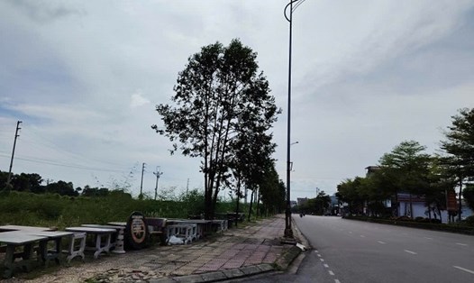 Nhiều người quan tâm tới quy định thu hồi đất ở, đất nông nghiệp. Ảnh: Xuyên Đông