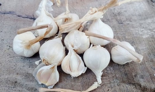 Tỏi, hành tây và gừng chứa nhiều hợp chất tốt cho tim. Ảnh: Thùy Dương