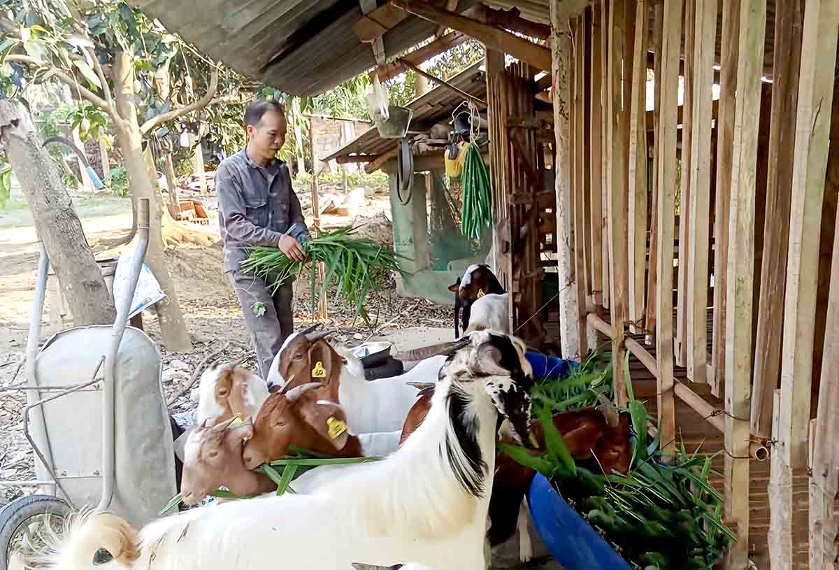 Nguoi dan duoc tiep can voi cac thong tin, cach lam hay, hieu qua ve trong trot, chan nuoi da giup phat trien kinh te, tung buoc giam ngheo. Anh: PV.