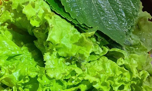 Salad có rau xà lách giúp tăng chức năng thận. Ảnh: Quang Minh.