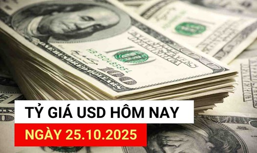 Tỷ giá USD hôm nay 25.10.2025.
