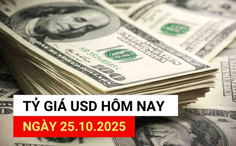 USD exchange rate today 10/25/2025.