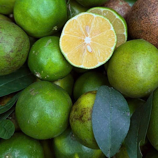 Lemon and honey are a breakfast drink that helps detoxify the liver. Photo: Quang Minh.