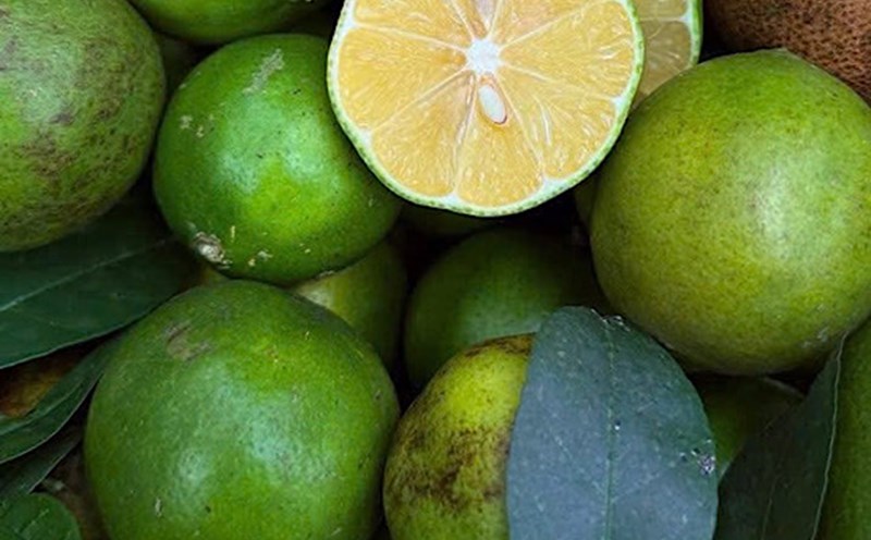 Lemon and honey are a breakfast drink that helps detoxify the liver. Photo: Quang Minh.