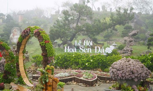 Lễ hội Hoa Sen đá 2025 ở Sa Pa được nhiều người quan tâm. Ảnh: Phạm Quỳnh