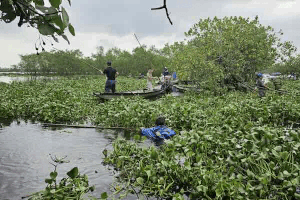 The binh surrounded Tam Giang after the storm. Photo: Nguyen Luan