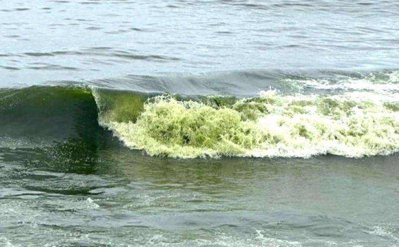 Sea waves in Bai Sau (Vung Tau) and some places will be green on the afternoon of October 25. Photo: Chung Nguyen