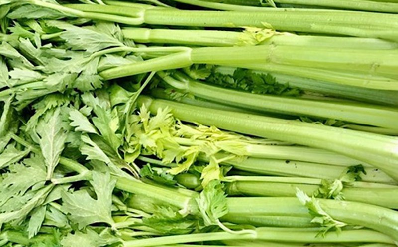 Celery, if eaten properly, can help detoxify cells. Photo: Lam Anh.